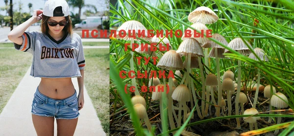 прущий лед Аркадак