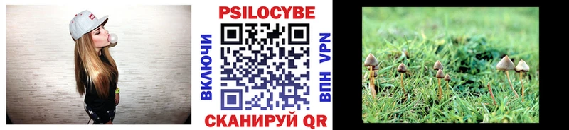 Псилоцибиновые грибы Psilocybine cubensis  закладки  Ноябрьск 